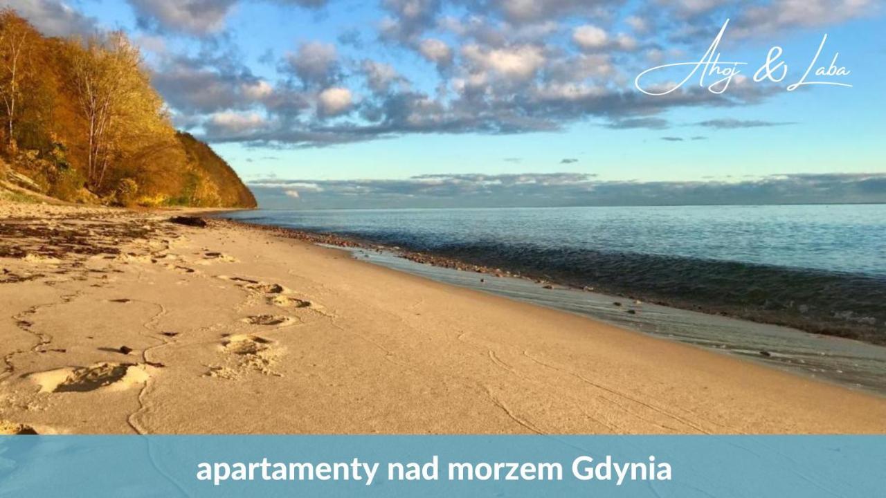 Laba - Basen, Blisko Plazy, Cisza, Taras, Parking, Bezplatne Wifi, Wyjatkowy! Apartment Gdynia Exterior photo
