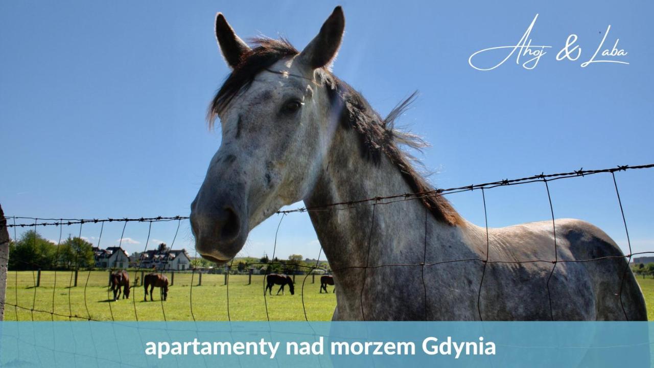 Laba - Basen, Blisko Plazy, Cisza, Taras, Parking, Bezplatne Wifi, Wyjatkowy! Apartment Gdynia Exterior photo