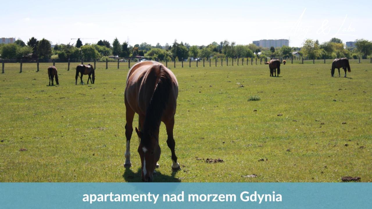 Laba - Basen, Blisko Plazy, Cisza, Taras, Parking, Bezplatne Wifi, Wyjatkowy! Apartment Gdynia Exterior photo